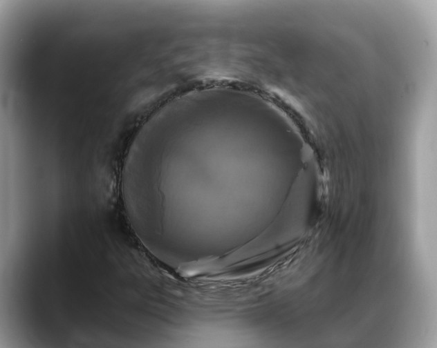 X0000088691303200706071511