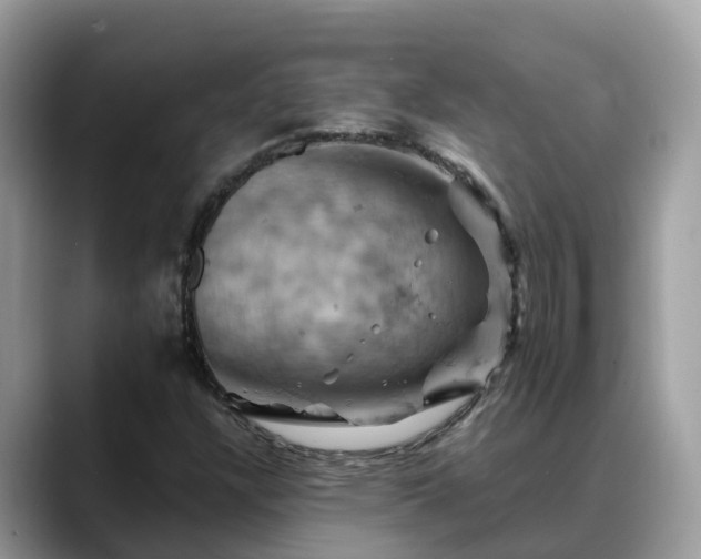 X0000088691304200706071511