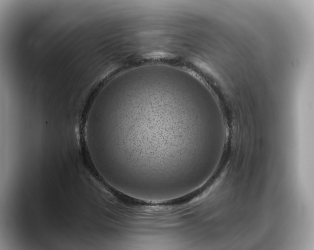 X0000088691305200706071511