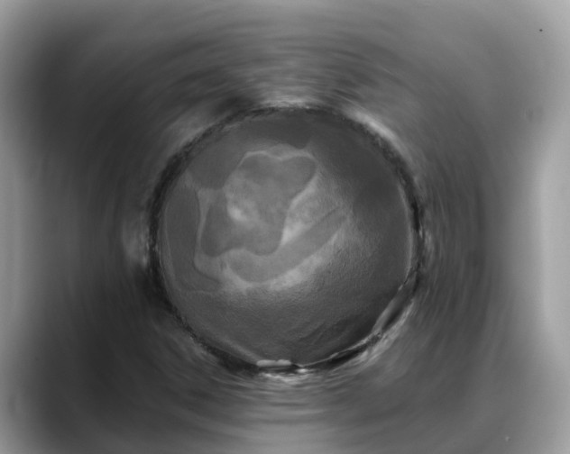 X0000088691306200706071511