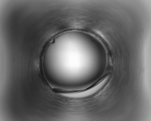 X0000088691307200706071511