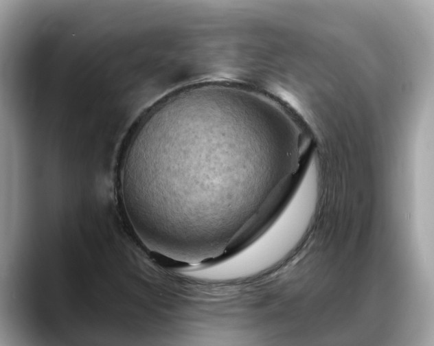 X0000088691308200706071512