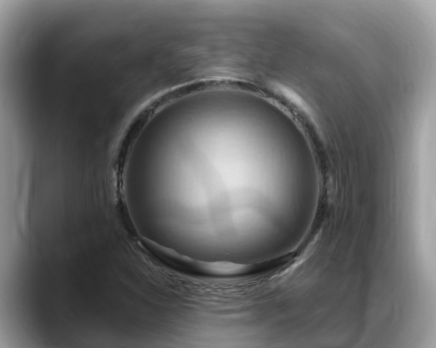 X0000088691310200706071512