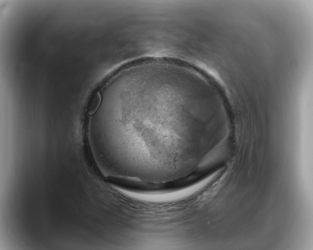 X0000088691311200706071512