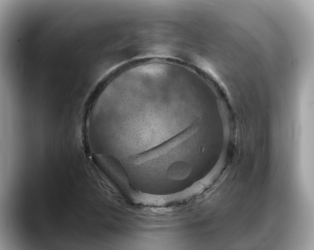 X0000088691312200706071512