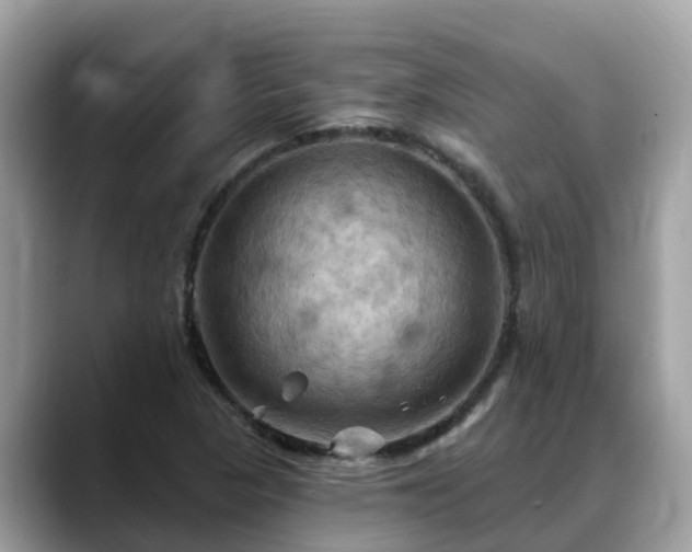 X0000088691313200706071512
