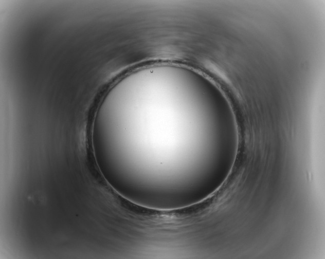 X0000088691315200706071512