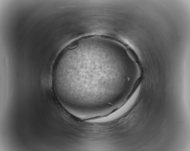 X0000088691316200706071512