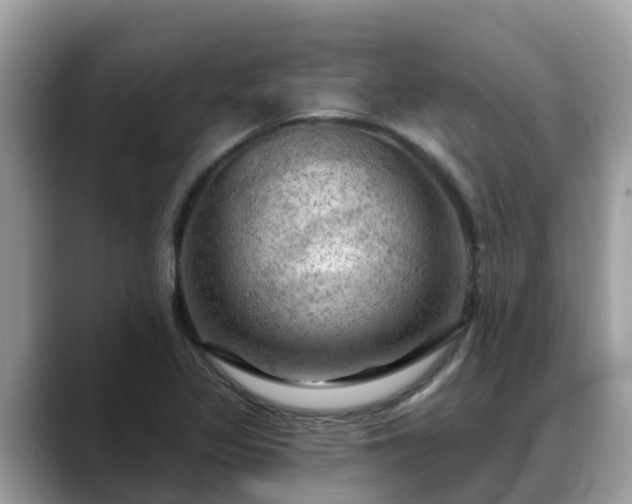 X0000088691317200706071512