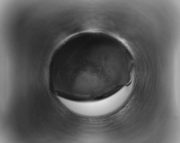 X0000088691319200706071512