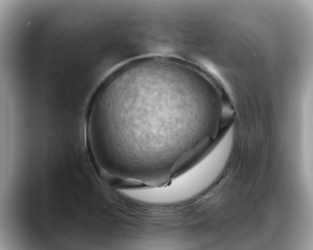 X0000088691320200706071512