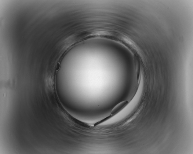 X0000088691321200706071512