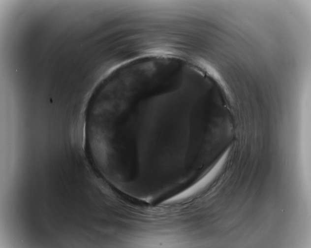 X0000088691323200706071512