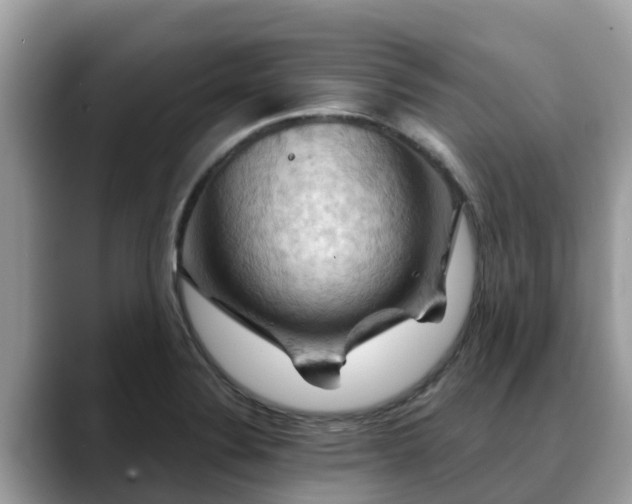 X0000088691324200706071512