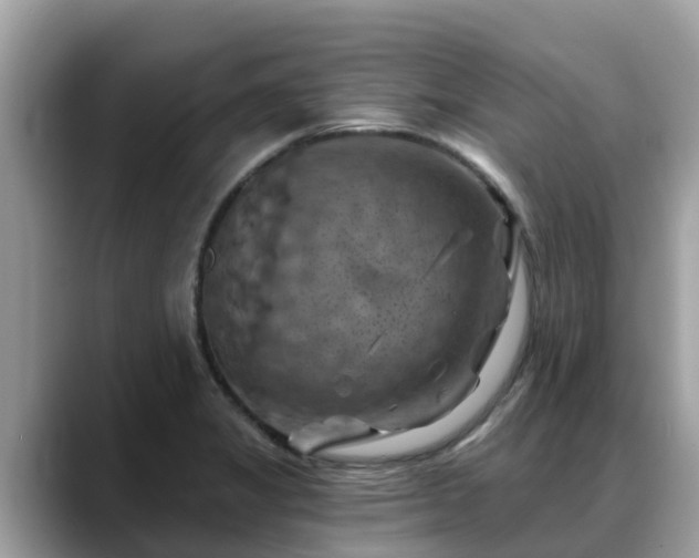 X0000088691325200706071512