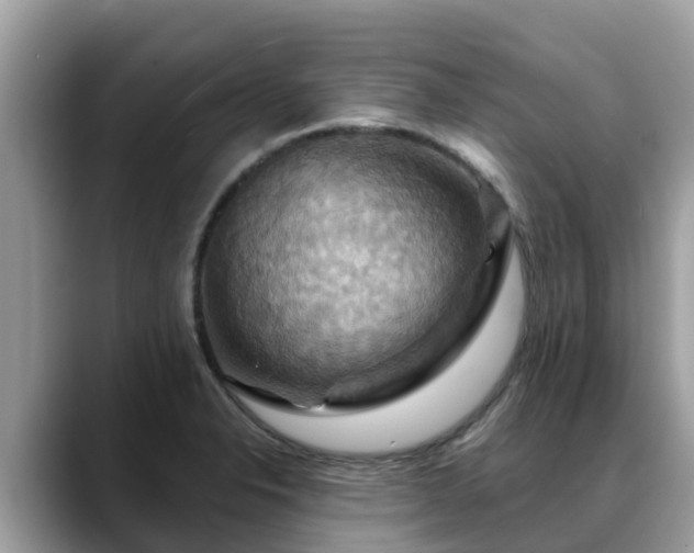 X0000088691326200706071512