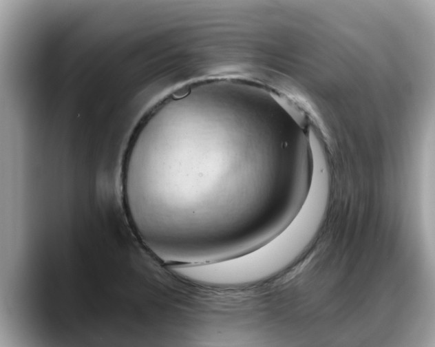 X0000088691328200706071512