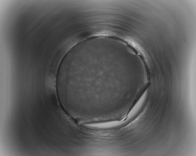 X0000088691329200706071512