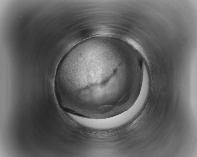 X0000088691330200706071512