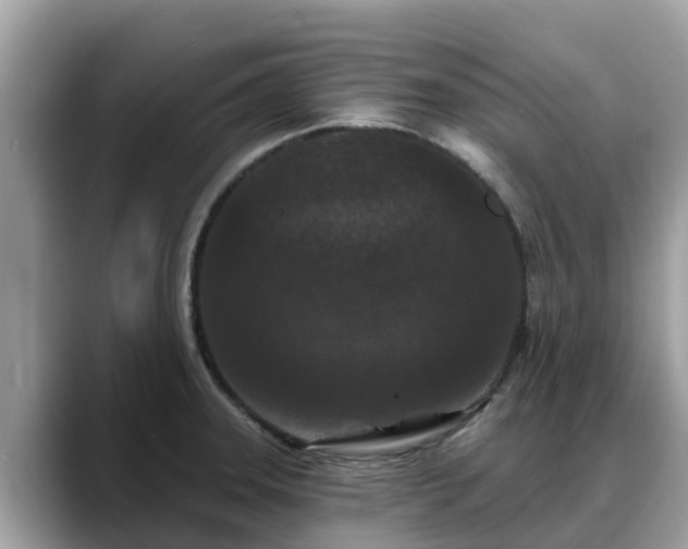 X0000088691331200706071512