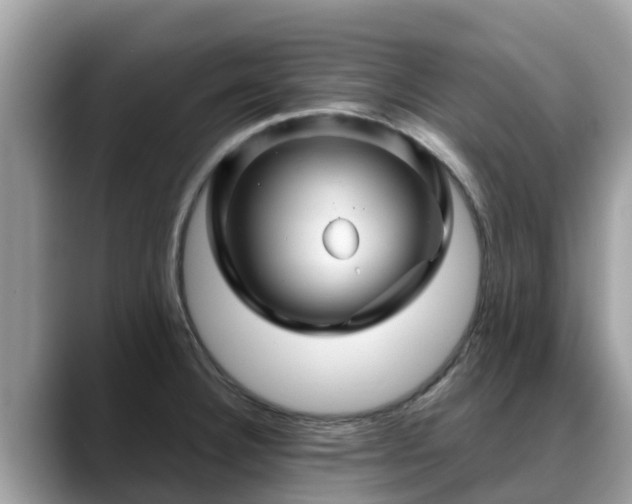 X0000088691332200706071512
