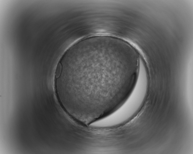 X0000088691333200706071512