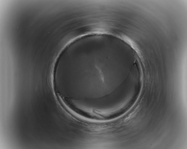 X0000088691334200706071512