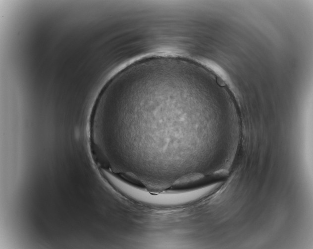 X0000088691335200706071512