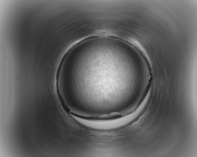 X0000088691336200706071512