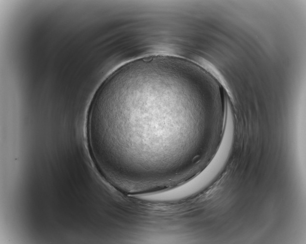 X0000088691339200706071512