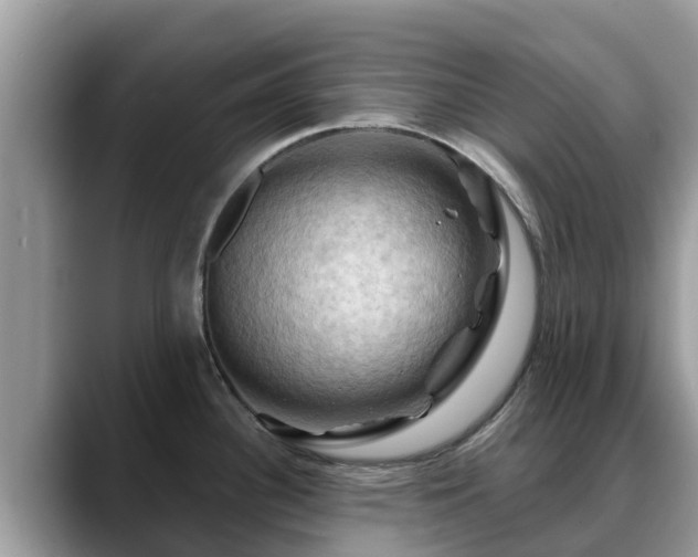 X0000088691340200706071512