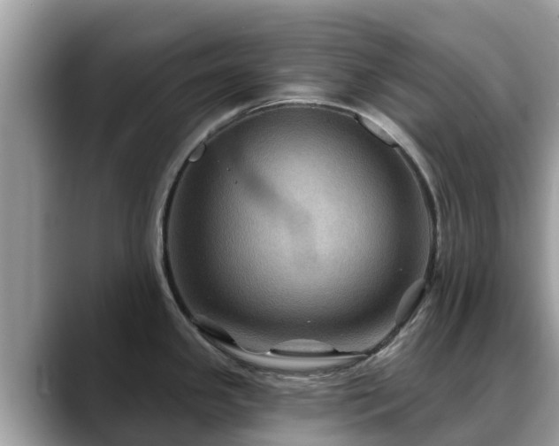 X0000088691341200706071512