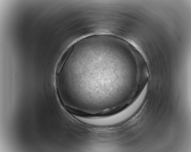 X0000088691342200706071512