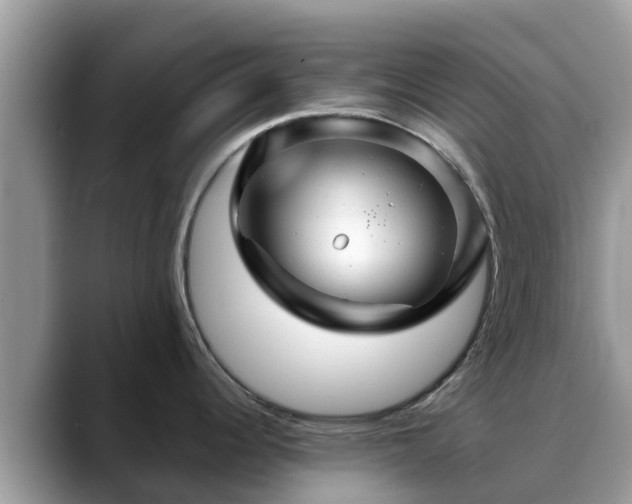 X0000088691344200706071512