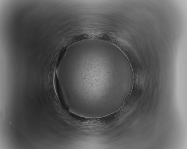 X0000088691346200706071511