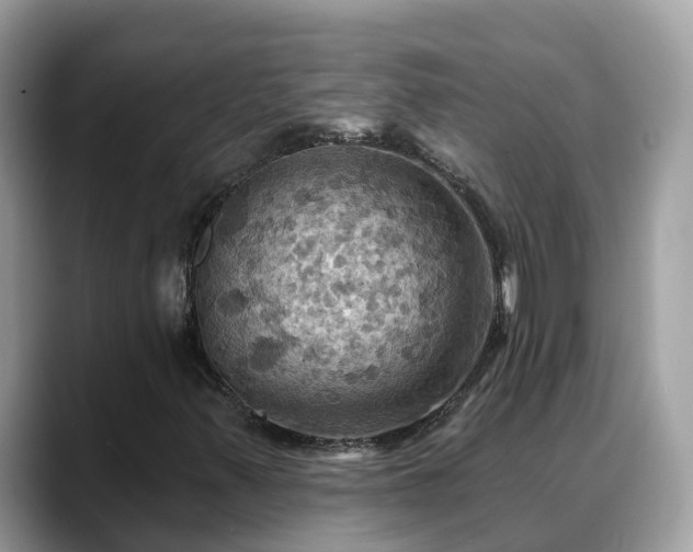 X0000088691347200706071511