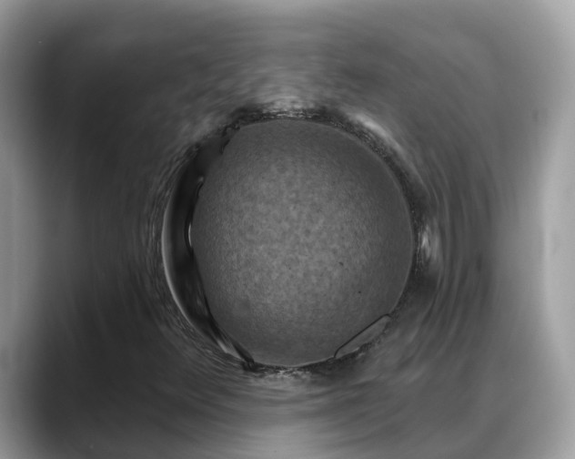 X0000088691348200706071511