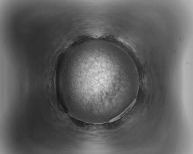 X0000088691349200706071511