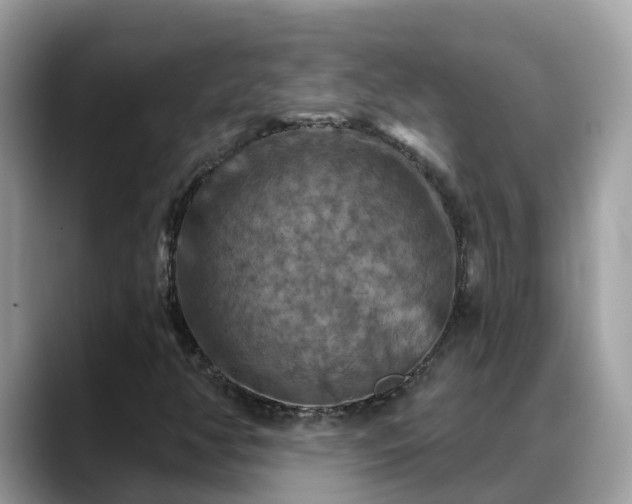 X0000088691350200706071511