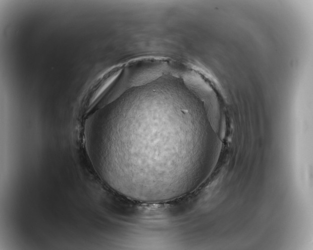 X0000088691352200706071511