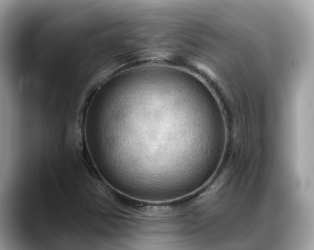 X0000088691354200706071511