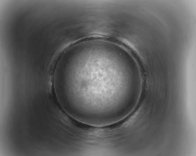 X0000088691355200706071511