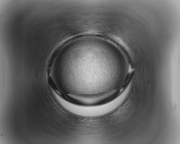 X0000088691356200706071511