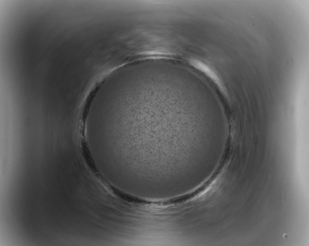 X0000088691357200706071511