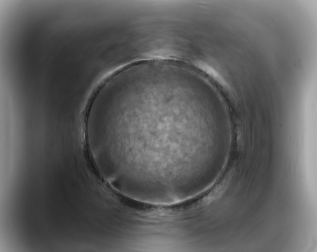 X0000088691358200706071511
