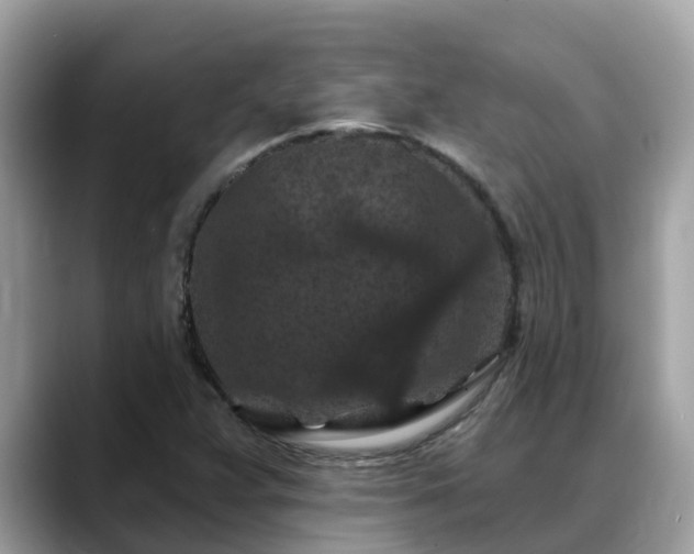 X0000088691359200706071511