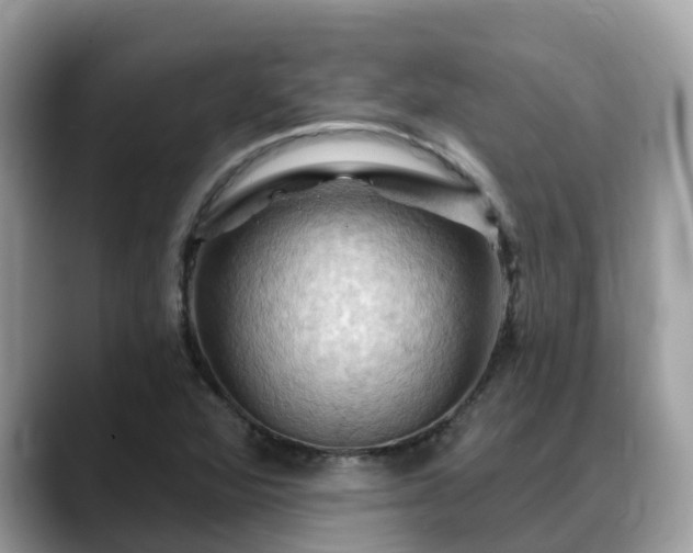 X0000088691360200706071511