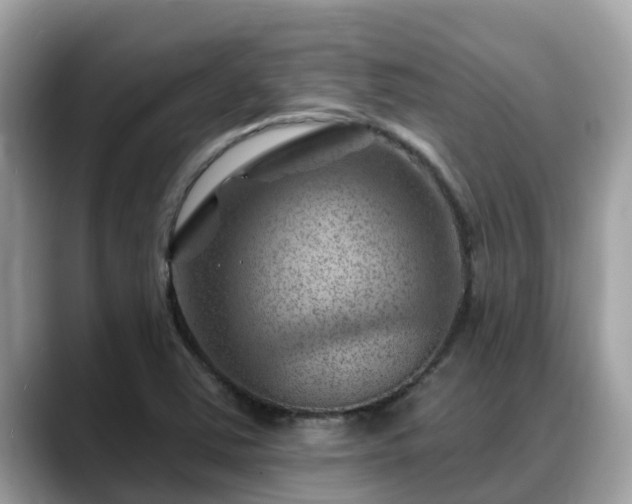 X0000088691363200706071511