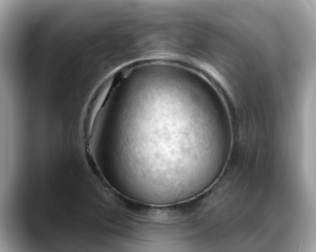 X0000088691364200706071511