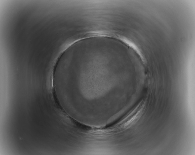 X0000088691365200706071511